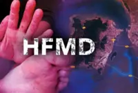 ‘HFMD vaccine works, but policy calls for patience’