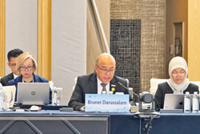 Technology, innovation essential to enhancing food security, says Brunei minister