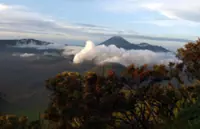 Indonesia's Mount Semeru hiking trail closed after forest fire