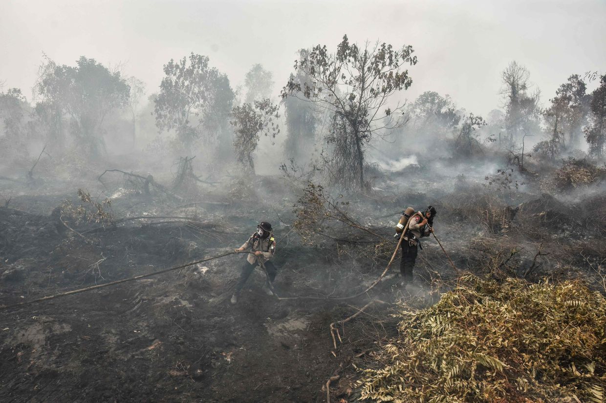 - codepointat method in java example 1: java... Number of hotspots double in Kalimantan as air quality worsens | The Star