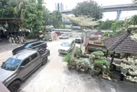 Sungai Buloh nurseries need relocation, not eviction