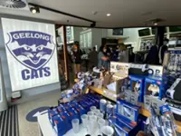 Australian Rules-Geelong fined $100,000 for concussion waiver with player
