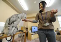 Japan to survey animal cafes over hygiene, welfare concerns