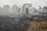 Number of hotspots double in Kalimantan as air quality worsens
