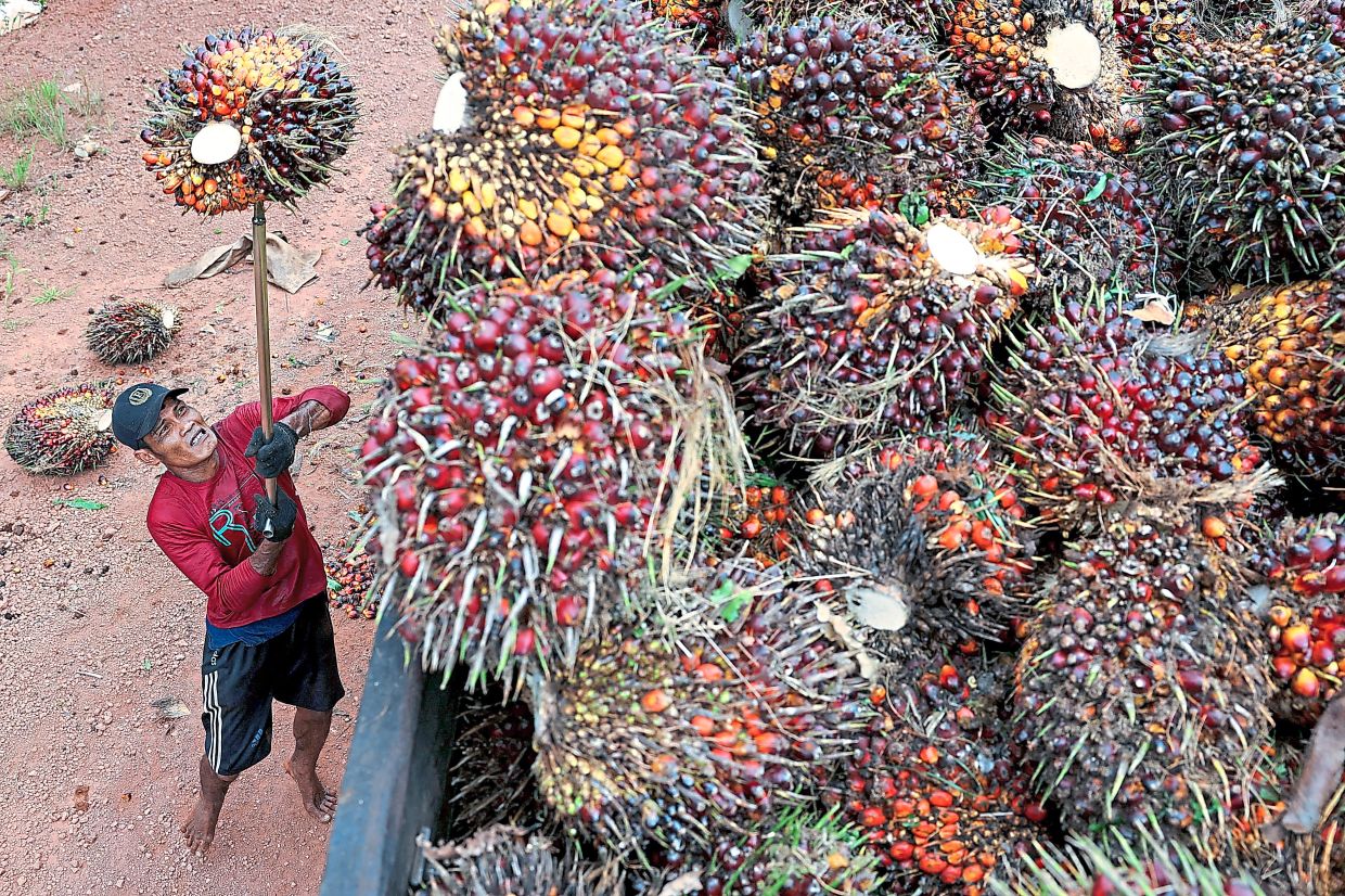 Gapki warns of sharp production losses