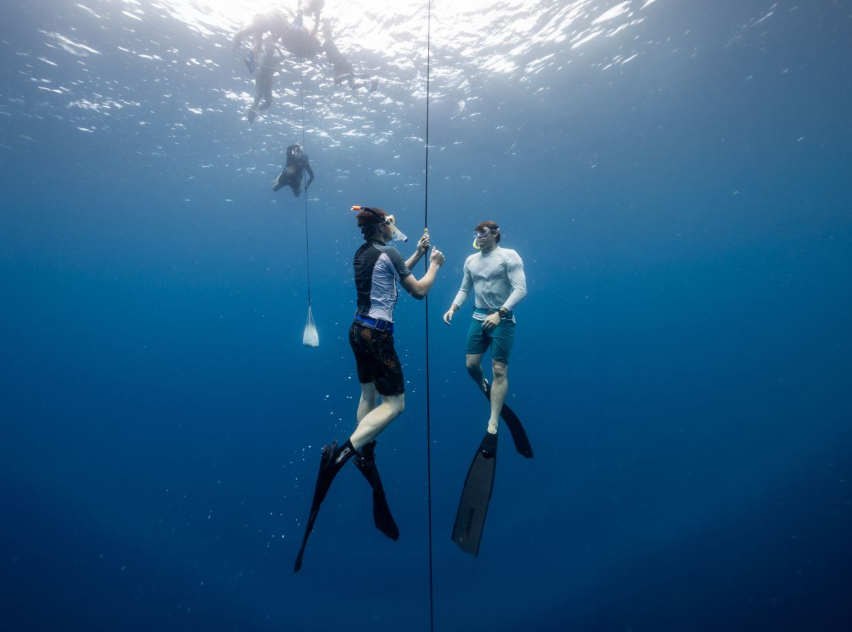Freediving experience in the Maldives, and World Manta Ray celebrations