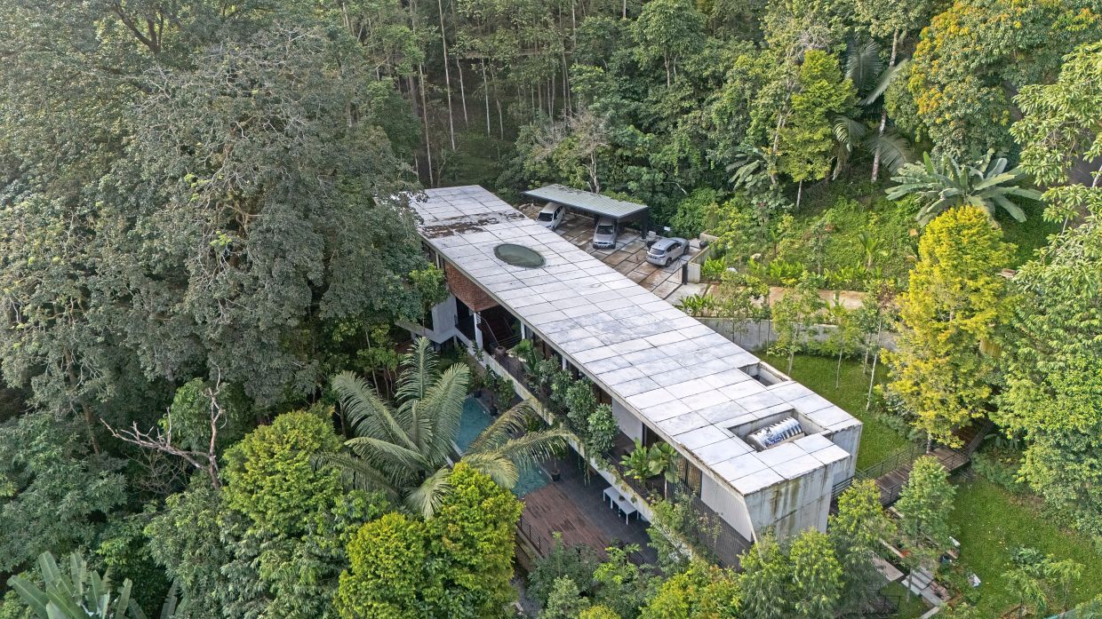 The Rainforest Resort is built around the site’s existing terrain and trees. Photo: Pixelaw Photography