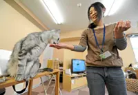 Scrutiny grows over animal cafes