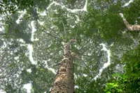 55 defining ESG moments in Malaysia