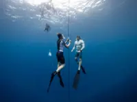Freediving experience in the Maldives, and World Manta Ray celebrations