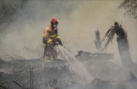 Forestry reform critical as Indonesia's wildfires threaten health, ecosystems