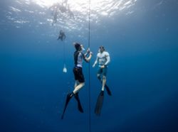 Freediving experience in the Maldives, and World Manta Ray celebrations