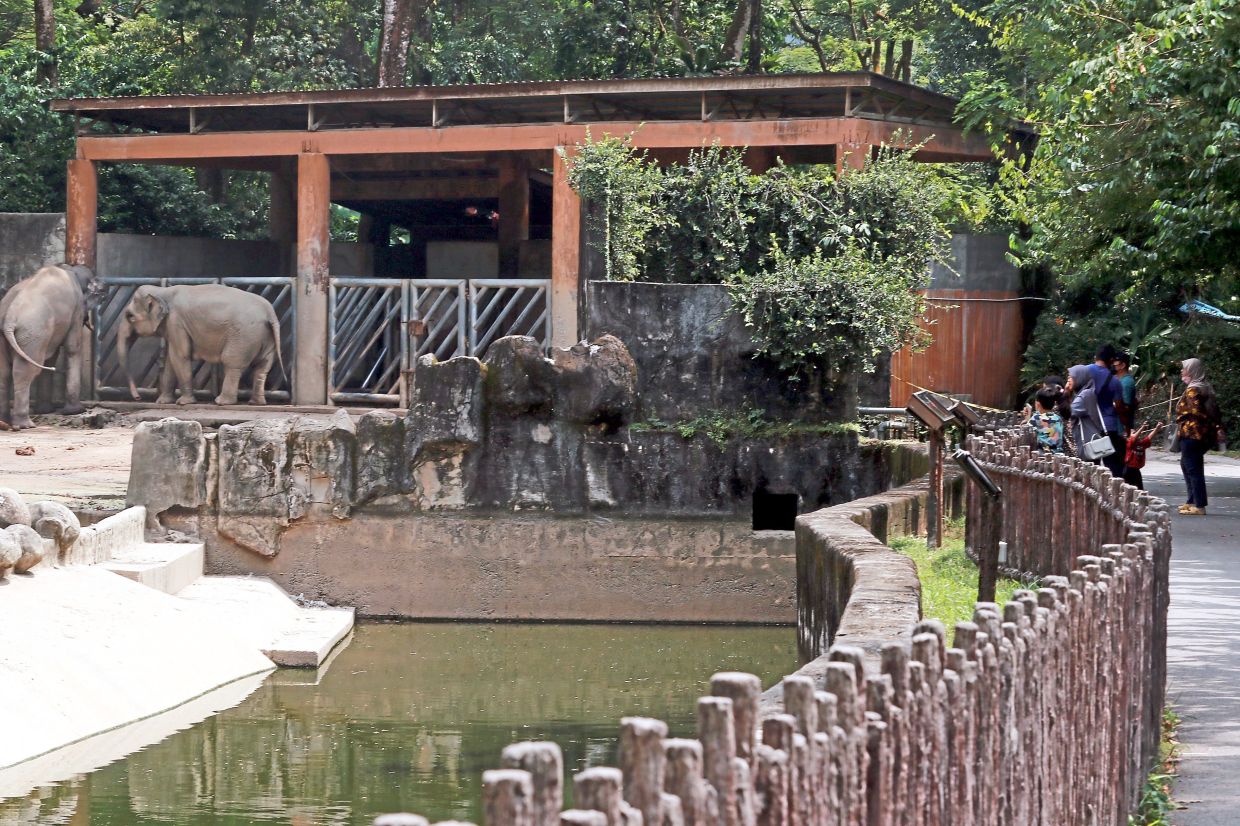 The Taiping Zoo and Night Safari is one of the nine active ‘Hentian Komuniti’ in Taiping town. — Courtesy photo
