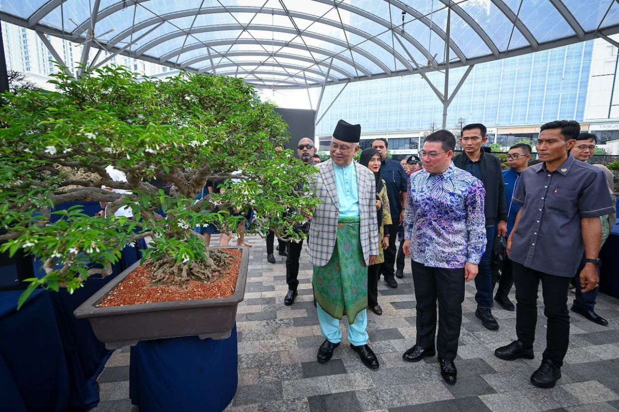 Malaysia needs to scale up bonsai production to meet global demand, says minister