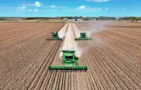 China enlists AI in hunt for better soybeans, but self-sufficiency unlikely any time soon
