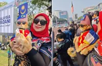 Purr-triotic 'King Oyen' turns heads at Merdeka rehearsal