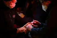 Australia to evacuate sub-Antarctic research base over bird flu fears