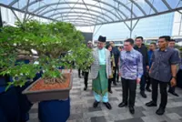 Malaysia needs to scale up bonsai production to meet global demand, says minister