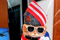 Purr-triotic 'King Oyen' turns heads at Merdeka rehearsal