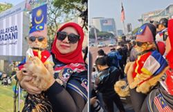 Purr-triotic 'King Oyen' turns heads at Merdeka rehearsal