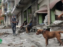 Nepal floods: Number of missing soars to nearly 3,000, over 630 bodies recovered