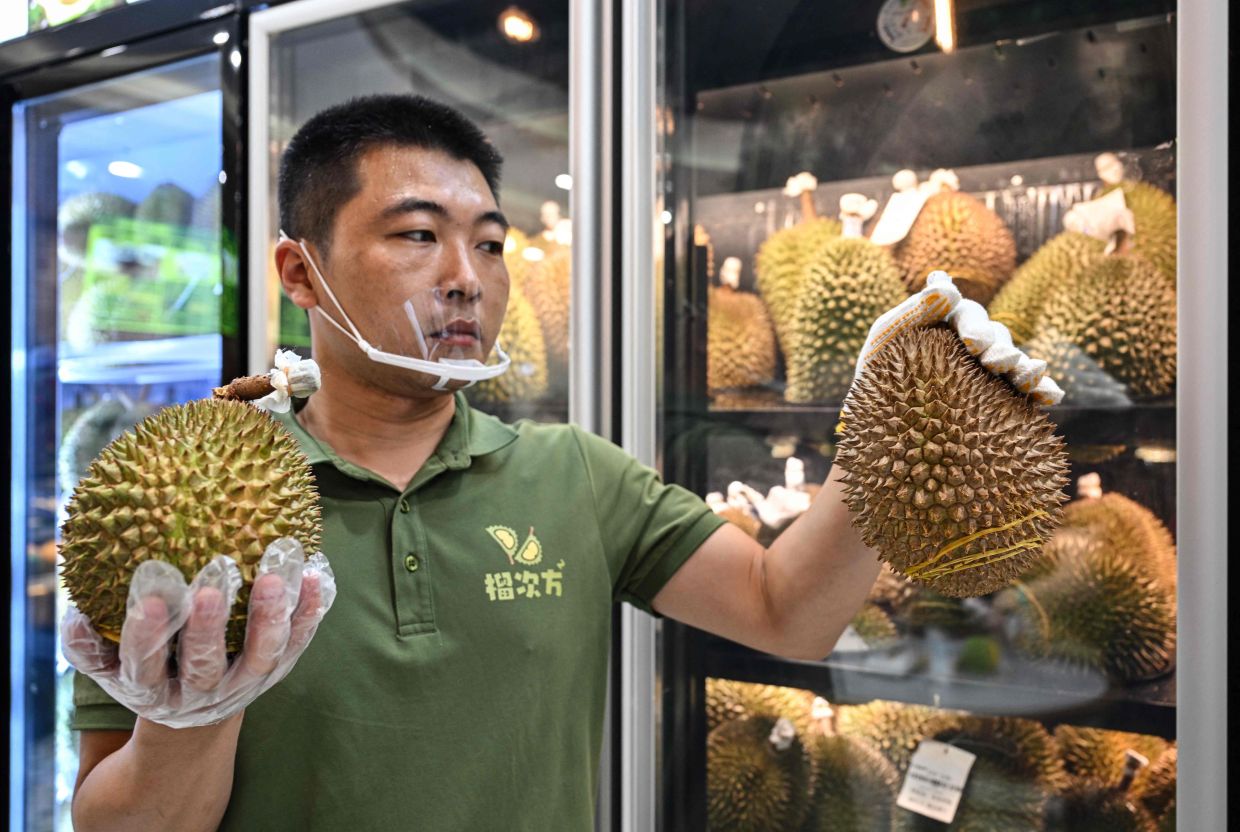 A shop attendant holds imported durians from Malaysia during a durian festival in Beijing on July 4, 2026. China imported almost $7.5 billion worth of fresh durian last year, a near 12-fold rise from 2015.Once a luxury food, increased competition and improved transport links have helped cut prices and make the fruit more affordable. - Photo by ADEK BERRY / AFP
