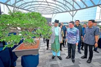 Call to commercialise bonsai hobby
