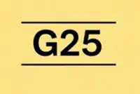 Malaysia must put national interests above divisions, says G25