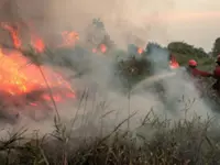 Indonesia forest fire pollutants could drift towards Malaysia, Singapore, and Brunei
