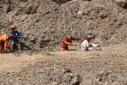 China says 16 dead, 546 missing in Tibet mudslide: state media