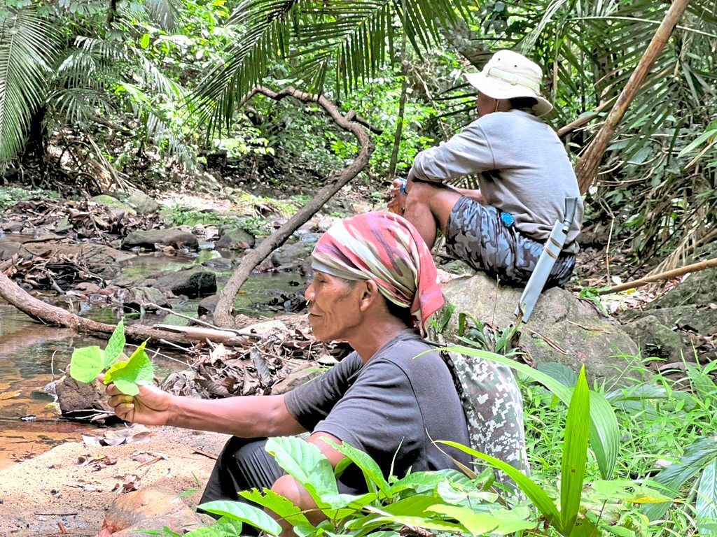 At the moment, Ari works with 10 Orang Asli harvesters and pays them whatever price they think is suitable for the honey they collect.