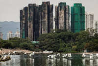 Hong Kong 2025 high-rise blaze: Nearly 98% of flat owners accept buyout offer