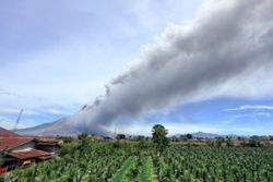Fires and haze issues aside, Indonesia now also faces another problem - Mount Sinabung erupts and spews ash 3.5km above the summit