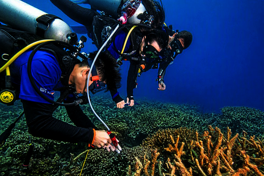 Volunteers helping protect and conserve the fragile underwater ecosystem off Tioman island.