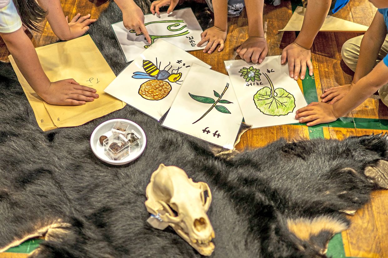 Elementary school students attend a workshop on bears by wild bear expert Akiko Takii.