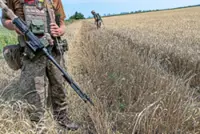 Wheat at war