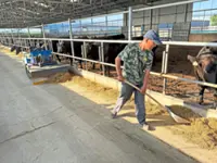 From wasteland to beef heartland