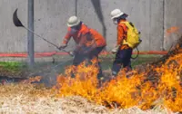 Meet the judge teaching young inmates how to combat forest fires