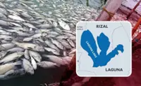Over 20,000 kg of fish die in latest Laguna de Bay fish kill in Philippines
