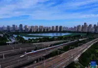 China's railways handle about 954 mln passenger trips during summer travel rush