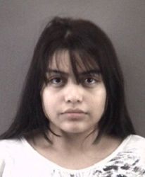 North Carolina girl, 17, charged in role in California mosque attack