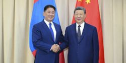 Xi calls for stronger mutual trust with Mongolia 