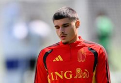 Soccer-Newcastle sign Belgium forward Fernandez-Pardo from Lille