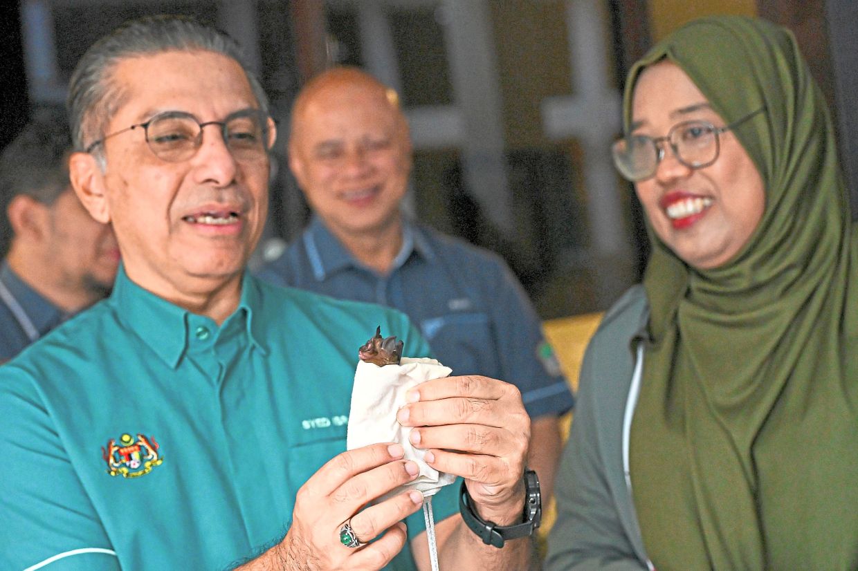 Syed Ibrahim (left) taking a closer look at a bat at Port Dickson Forest Sungai Menyala.