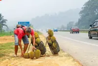 More areas choked by haze