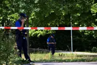 Swiss rave shooting 'lone perpetrator' handed himself in to police