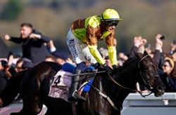 Horse racing-Double Gold Cup winner Galopin Des Champs dies after field injury