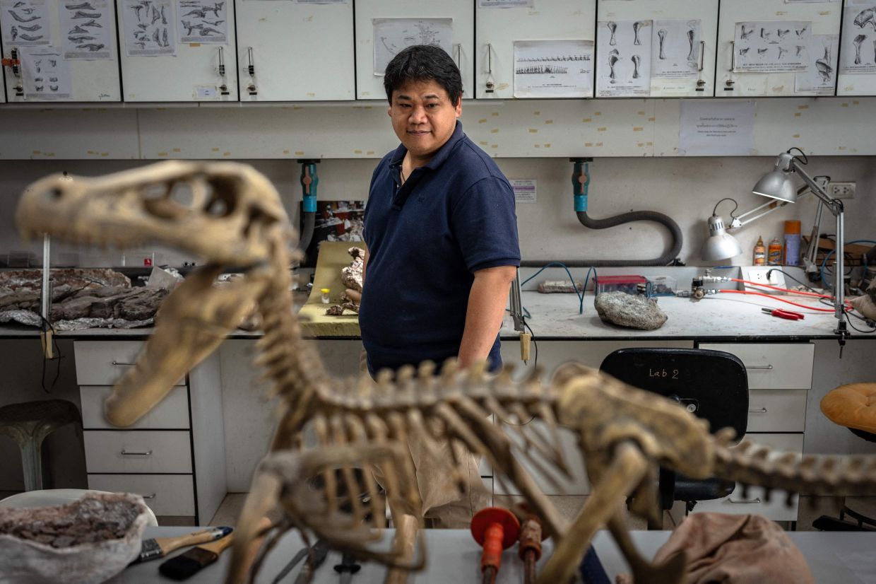Suravech Suteethorn, deputy director of the Palaeontological Research and Education Centre at Mahasarakham University, stands behind a model of a dinosaur skeleton in Mahasarakham on August 18, 2026. Researchers have found a trove of dinosaur fossils in Khon Kaeon province, which holds the country's richest deposits, offering insight into the creatures that roamed the planet millions of years ago. (Photo by Chanakarn LAOSARAKHAM / AFP) / To go with AFP story Thailand-dinosaur-science, FOCUS by Montira RUNGJIRAJITTRANON