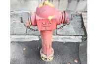 Missing hydrants delay firefighters in massive Klang wood factory fire