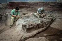 Thailand's 'Jurassic Park' shines light on dinosaur evolution